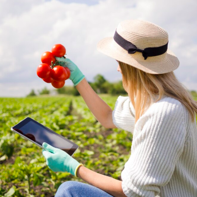 Cursos EAD gratuitos